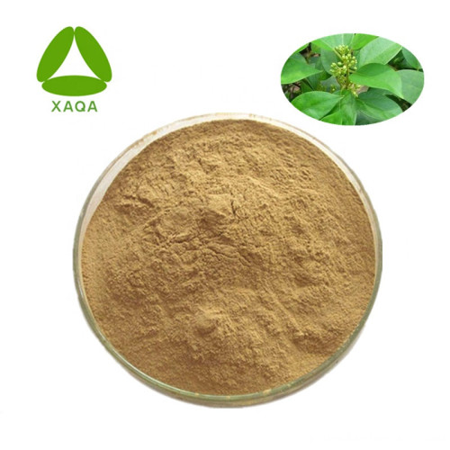 Decrease Blood Sugar Gymnemic Decrease Blood Sugar Gymnemic Extract 10:1 Powder Factory