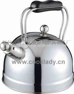 metal water kettle CL3200