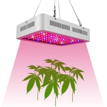 Grow Light 600W 1000W Full Spectrum Led Lights