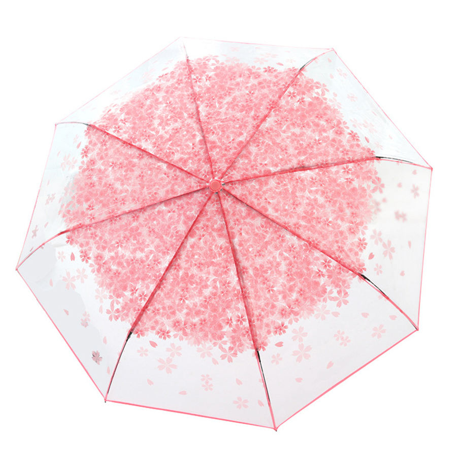 Garden Show Transparent Petal Design Umbrella