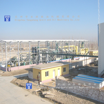 300T CottonSeed Oil Press Plant Project