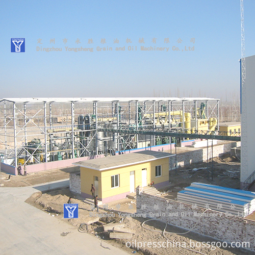 300T Oil Press Turnkey Project