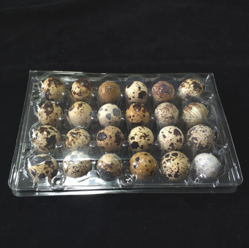 Plastic Blister Quail Egg Tray with 24 Holes