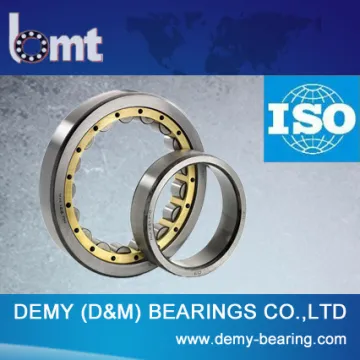 Single Row Cylindrical Roller Bearing China Manufacturer 