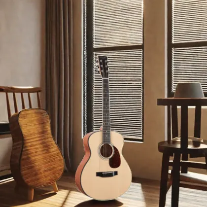 Hailun HL 1 Musical Instruments & Accessories: Elegant Guitar