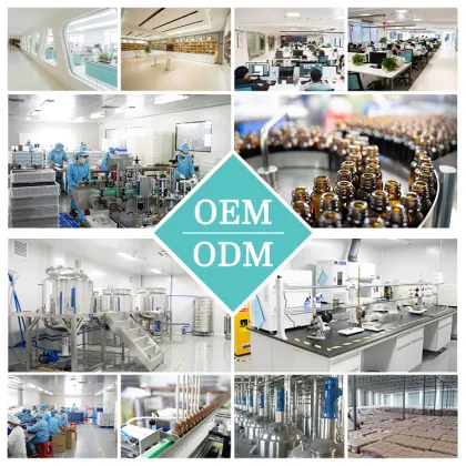 High-Quality Vitamin C Eyebrow and Eyelash Growth Serum - 3ml