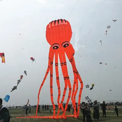 New Design Fish Kite & Inflatable Show Octopus Kite - 3D Animal Shape Soft Kites from Factory Supply