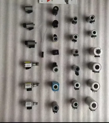 solenoid valve and coil