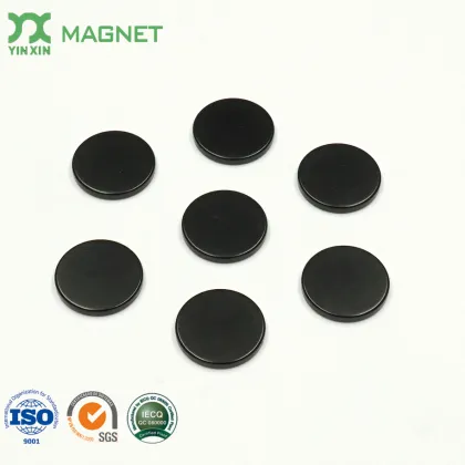 Large N40 10mm Neodymium Disc Magnet Ring Coin