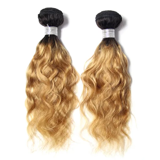 Natural Wave Two Color Ombre Human Hair Bundles with Closure, Cuticles Aligned 1b/27 Ombre Color Hair