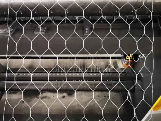 Electro/Hot Dipped Galvanized Hexagonal Wire mesh