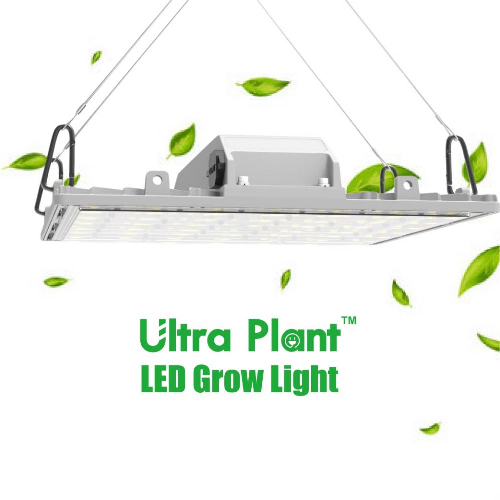 Full Spectrum 450W LED Grow Lights