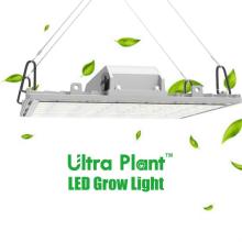 Luces de cultivo LED de espectro completo de 450 W