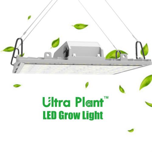 300W LED Grow Light Vertical Farming Equipment