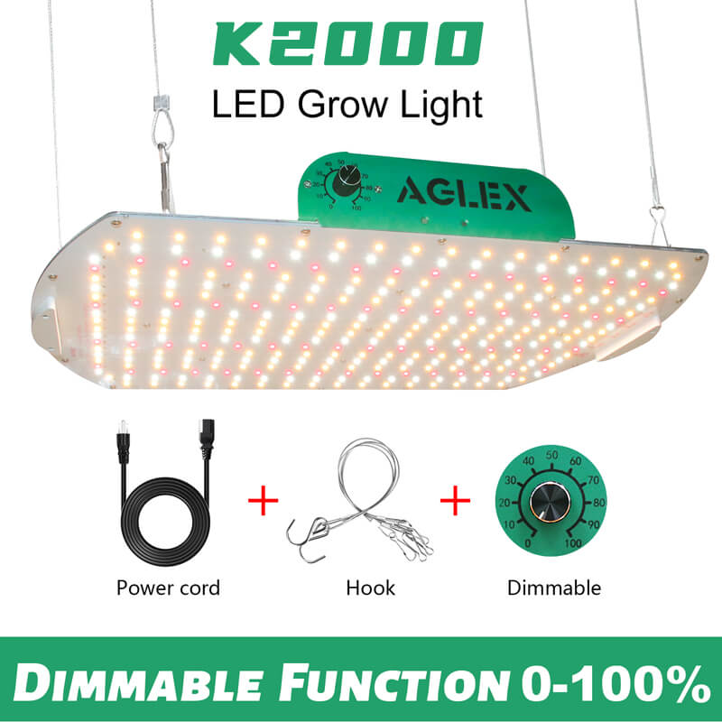 Samsung LED Grow Light สำหรับสวนในร่ม