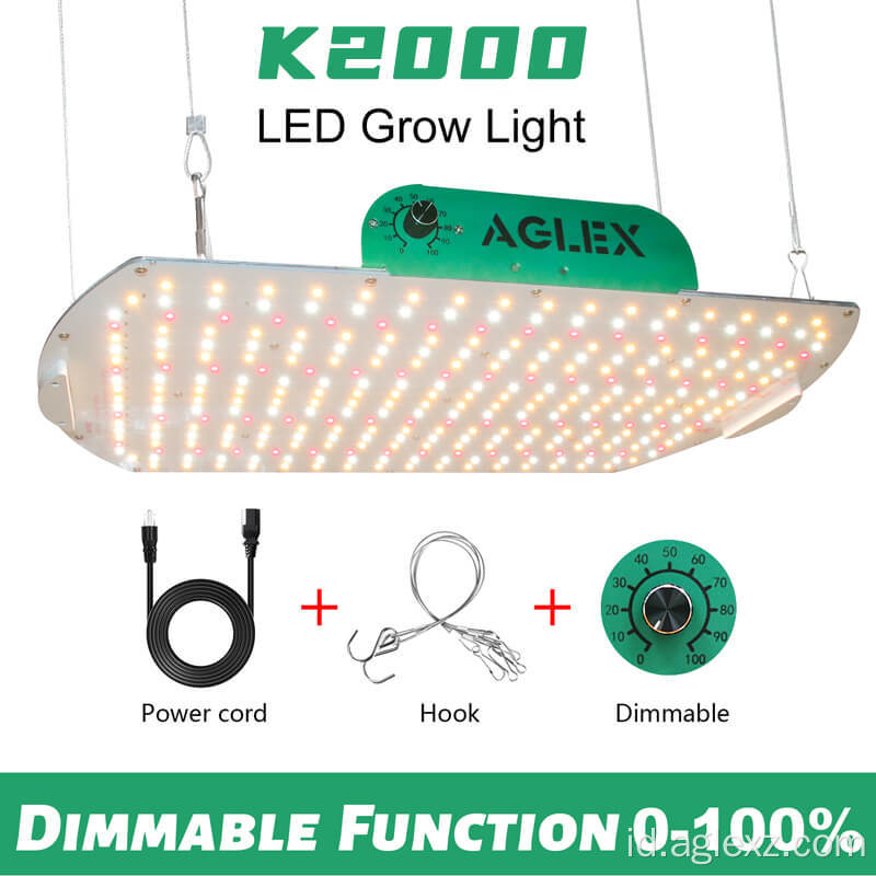 Tanaman LED menanam rumah kaca tumbuh dalam ruangan