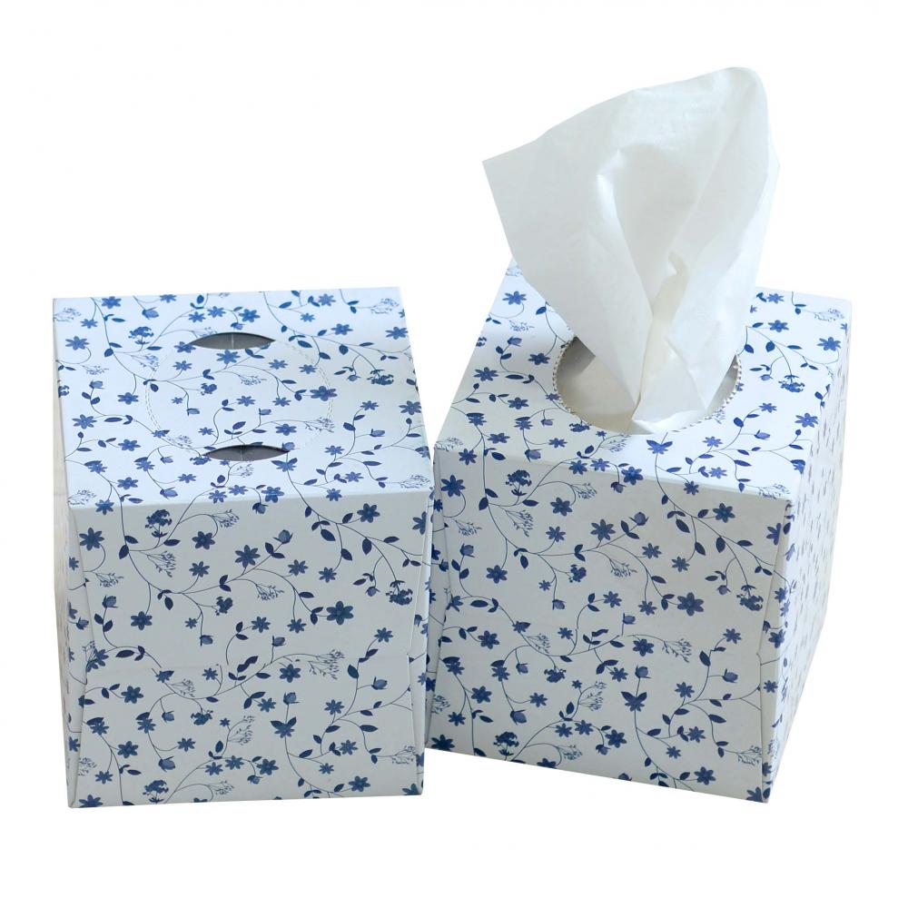 Flat Box Facial Tissue Dsc 7757 Jpg