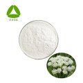Cnidium Monnieri Extract Osthole 98 ٪ Powder CAS No.484-12-8
