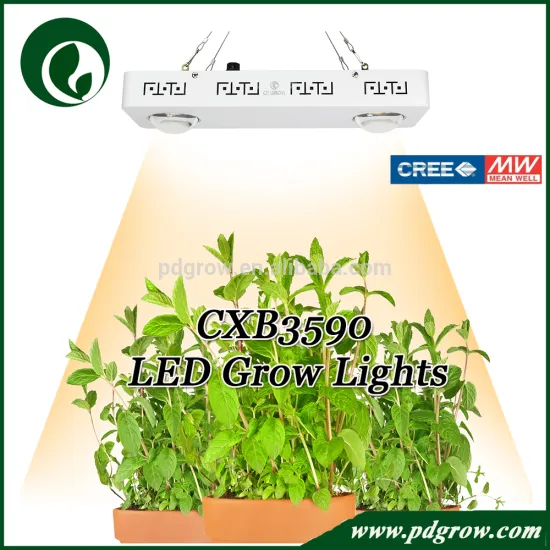 New Module Design High Quality Crees Led Chips CXB3590 COB 200w Full Spectrum Grow Lights