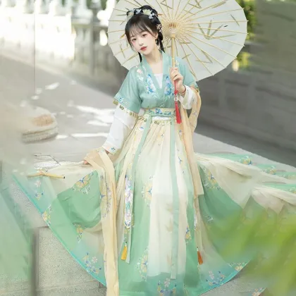 Chinese Traditional Hanfu: Female Tang Skirt with Embroidery