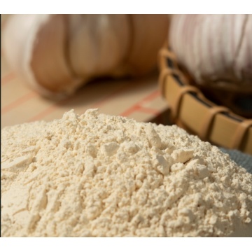 POWDER SHAPE AND 100-120 MESH GARLIC POWDER