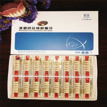 Full Set Dental Synthetic Polymer Resin Teeth