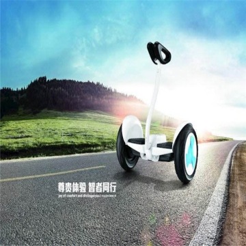 Mini Handle Control Balance Scooter