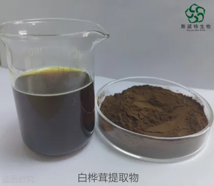 Chaga Mushroom Extrtact for Nutritional Supplement