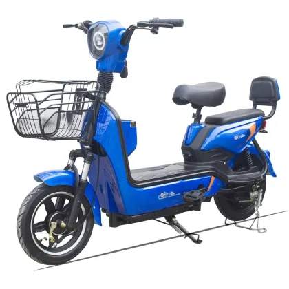 Yama Factory OEM Custom Electric Bike with 350w 48v 12ah Lead Acid Battery