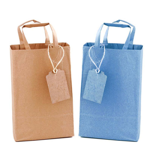 Customized Logo Gift Bag with Handle