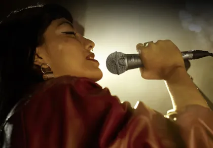 Shure Vocal Dynamic Microphones