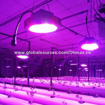 Hydroponic LED Grow Light, 30*3W, for Indoor Plants/Greenhouse and Agriculture Growing,Horticulture