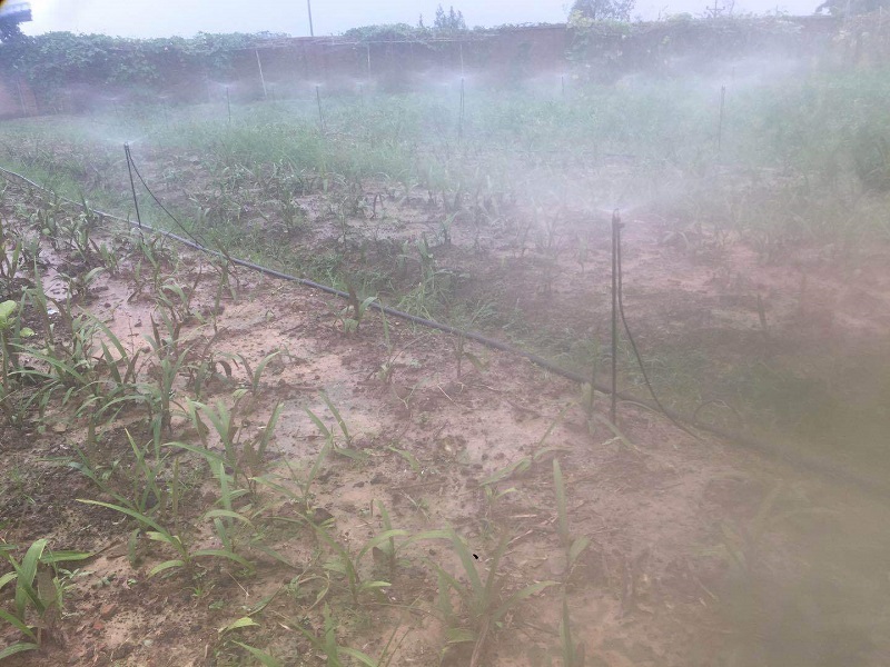 Chongqing Qingcheng Agriculture's Hechuan Drip Irrigation Project Passes Acceptance Inspection, Client Praises Service Quality!
