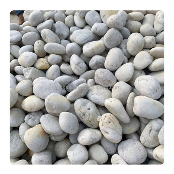 Natural White River Pebbles - Wear-Resistant Decorative Stones for Aquariums and Exterior Walls