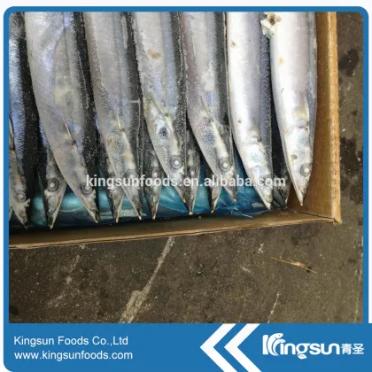 Frozen Pacific Saury (Cololabis Saira)