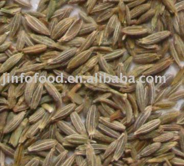 Chinese Cumin Seeds