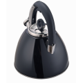 Stainless teel construction kettle black