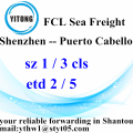 Shenzhen spedizione azienda a Puerto Cabello