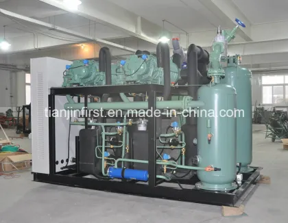Bitzer Compressor Condensing Unit Cold Room