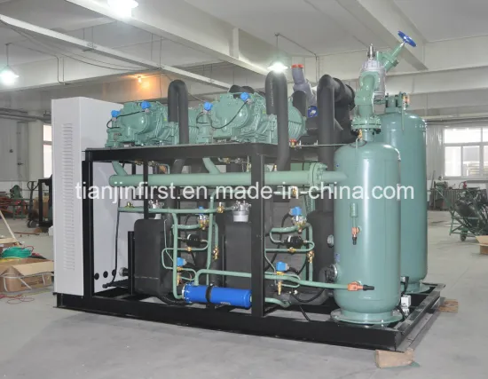 Bitzer Compressor Condensing Unit Cold Room