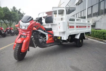 2018 ZONGSHEN Tsunami Customization Model 200cc/250cc/300cc Cargo Tricycle Agricultural Tipper Motorcycle Lift