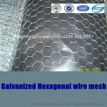1/2' Anping Factory Galvanized Hexagonal Wire Mesh with high quality