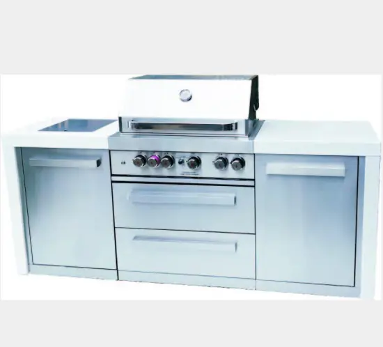 Gas Barbecue Grill - Outdoor Cooking Made Easy