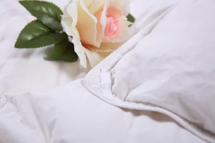 Warm Thermal Silk-Filled Quilt