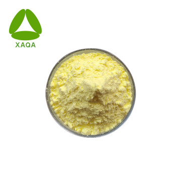 Gamboge Extract Gambogic Acid Powder Losing Weight