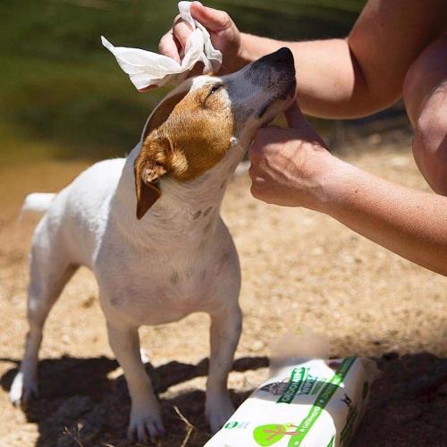 Antibakteriell hundvalp husdjur Grommy Deodorant rengöring våtservetter