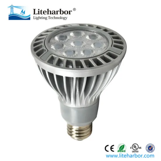 New light bulbs16W High Brighteness LED PAR30 Spotlight