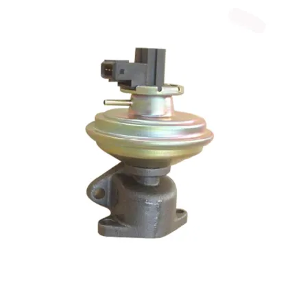 Haval Car EGR Valve 1207100-E06-B1