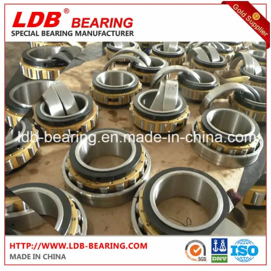 Split Roller Bearing 01b560m (560*717.55*168) Replace Cooper