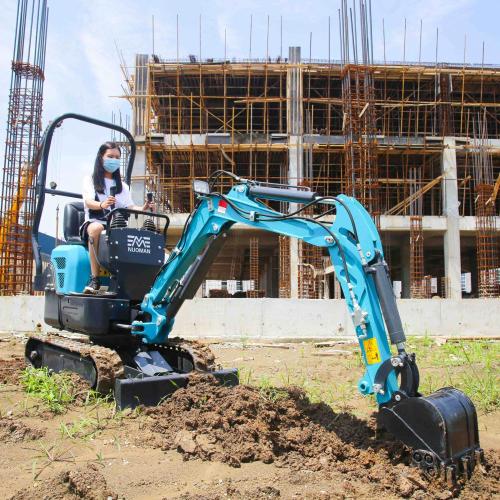 NM-E10PRO MINI الحفريات Digger 1TON MINI ECERIS